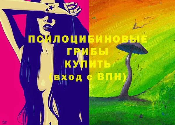 хмурый Надым