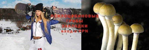 хмурый Надым