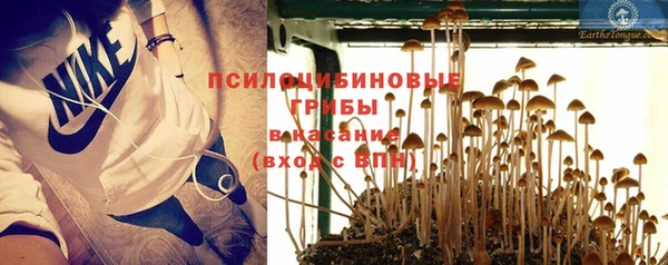 хмурый Надым